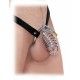 Κλουβί πέους Chastity Pipedream Fetish Fantasy Extreme Ασημί Κλουβί πέους Chastity Pipedream Fetish Fantasy Extreme Ασημί