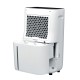 Αφυγραντήρας Whirlpool Corporation DE20W5252 Αφυγραντήρας Whirlpool Corporation DE20W5252