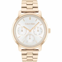 Unisex Ρολόγια Calvin Klein 25200178 (Ø 41 mm)