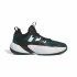 Παπούτσια Μπάσκετ για Ενήλικες Adidas Trae Unlimited