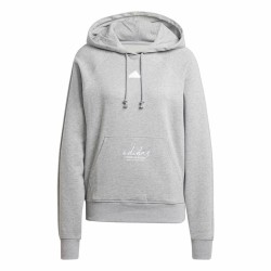 Ανδρικό Φούτερ με Κουκούλα Adidas Signature Graphic Embroidery French Γκρι