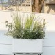 Αυτοποτιζόμενο Φυτευτή Deroma Μαργαριτάρι 78 x 38 x 39 cm Πλαστική ύλη Ορθογώνιο Ø 78 cm Αυτοποτιζόμενο Φυτευτή Deroma Μαργαριτάρι 78 x 38 x 39 cm Πλαστική ύλη Ορθογώνιο Ø 78 cm