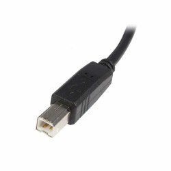 Καλώδιο USB A σε USB B Startech USB2HAB3M            Μαύρο