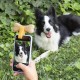Κλιπ Selfies για κατοικίδια Pefie InnovaGoods Κλιπ Selfies για κατοικίδια Pefie InnovaGoods