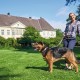 Κολλάρο Σκύλου Hunter Swiss 47-54 cm Κολλάρο Σκύλου Hunter Swiss 47-54 cm