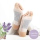 Έμπλαστρα Αποτοξίνωσης για τα Πόδια Lavender InnovaGoods x10 Έμπλαστρα Αποτοξίνωσης για τα Πόδια Lavender InnovaGoods x10
