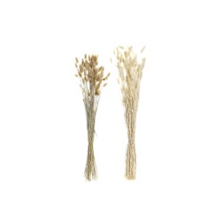 Μπουκέτο DKD Home Decor Μπεζ Καφέ Ξερό λουλούδι (12 x 12 x 76 cm) (x2)