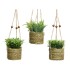 Διακοσμητικό Φυτό Everlands 8 x 12 cm Κρεμαστά Κοσμήματα Σχοινί Πράσινο PVC