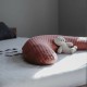 Breastfeeding Cushion Béaba τερακότα (Δωρεάν Μεταφορικά) Breastfeeding Cushion Béaba τερακότα (Δωρεάν Μεταφορικά)