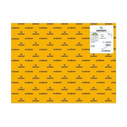 Καρτολίνα Iris Πολύχρωμο Ανοιχτό καφέ 21 x 29,7 cm
