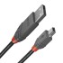 Καλώδιο USB 2.0 A σε Mini USB Β LINDY Μαύρο 2 m
