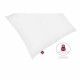 μαξιλάρι Abeil 60 x 60 cm (x2) (Δωρεάν Μεταφορικά) μαξιλάρι Abeil 60 x 60 cm (x2) (Δωρεάν Μεταφορικά)