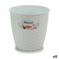 Γλάστρα Stefanplast Λευκό Πλαστική ύλη 14 x 13 x 14 cm (12 Μονάδες)