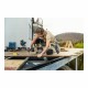 Κατσαβίδι BOSCH GDX 18V-210 C Professional 18 V 210 Nm (Δωρεάν Μεταφορικά) Κατσαβίδι BOSCH GDX 18V-210 C Professional 18 V 210 Nm (Δωρεάν Μεταφορικά)