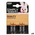 Αλκαλικές Μπαταρίες LR03 DURACELL (x10)