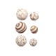 Set of Decorative Balls Καφέ Λευκό (12 Μονάδες) Set of Decorative Balls Καφέ Λευκό (12 Μονάδες)