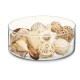 Decorative Potpourri Λευκό Καφέ 16 x 21 x 7 cm (12 Μονάδες) Decorative Potpourri Λευκό Καφέ 16 x 21 x 7 cm (12 Μονάδες)