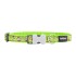 Κολλάρο Σκύλου Red Dingo STYLE MONKEY LIME GREEN 31-47 cm