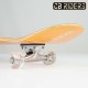 Skateboard Colorbaby (x2)