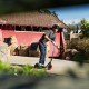 Scooter A5 Lux Razor 13073067 Μαύρο Scooter A5 Lux Razor 13073067 Μαύρο