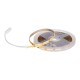 LED ταινίες Activejet AJE-COB 5m zim Όχι F 30 W LED ταινίες Activejet AJE-COB 5m zim Όχι F 30 W