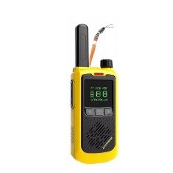 Walkie Talkie Baofeng BF-T17