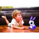Παιδικό Παιχνίδι Lexibook Power Rabbit Mini ROB02RAB (Δωρεάν Μεταφορικά) Παιδικό Παιχνίδι Lexibook Power Rabbit Mini ROB02RAB (Δωρεάν Μεταφορικά)