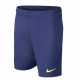 Ανδρικά Αθλητικά Σορτς Nike FC. Barcelona Μπλε Ανδρικά Αθλητικά Σορτς Nike FC. Barcelona Μπλε