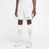 Ανδρικά Αθλητικά Σορτς Nike DN2725-100-S