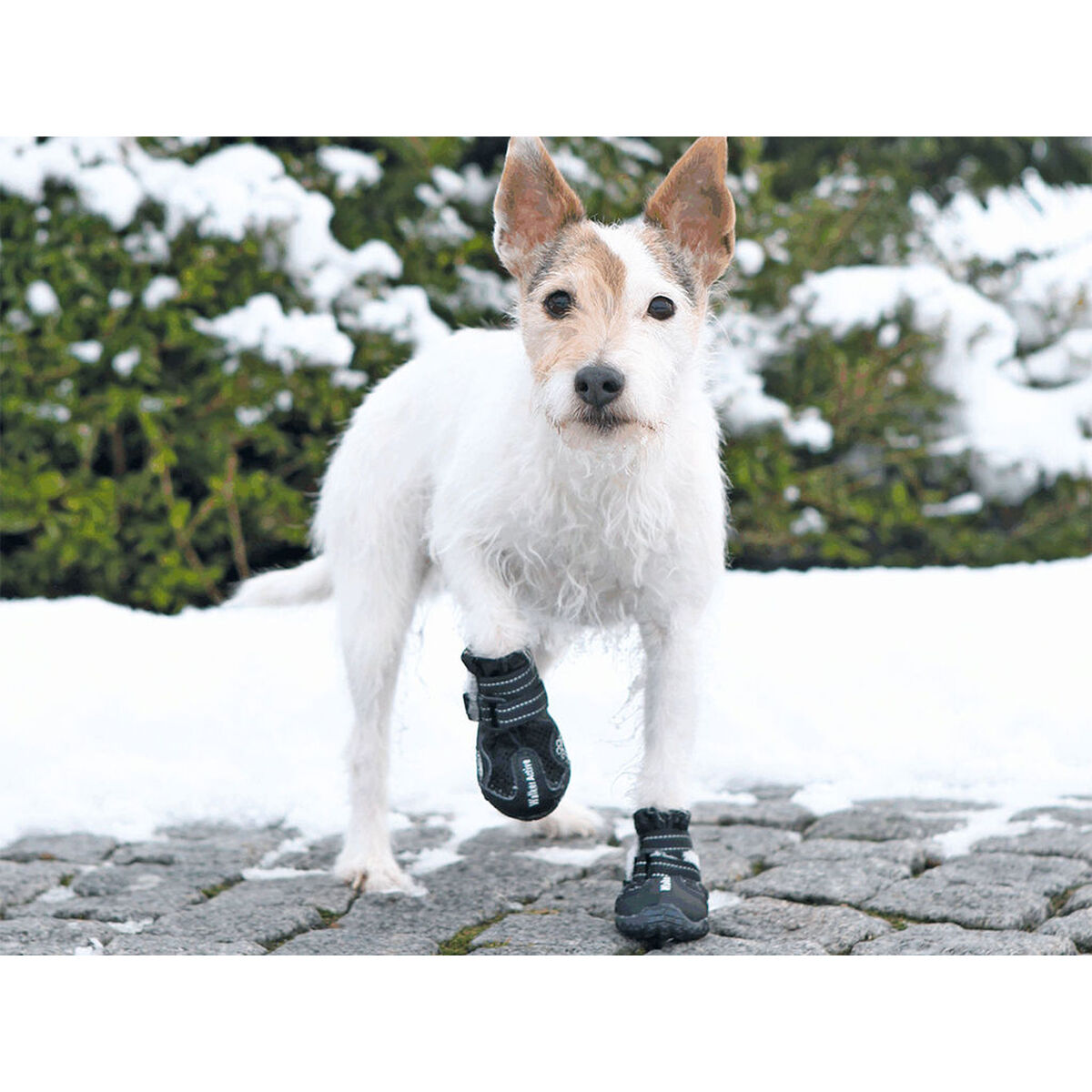 Παλτό Σκύλου Trixie 19461 Μαύρο