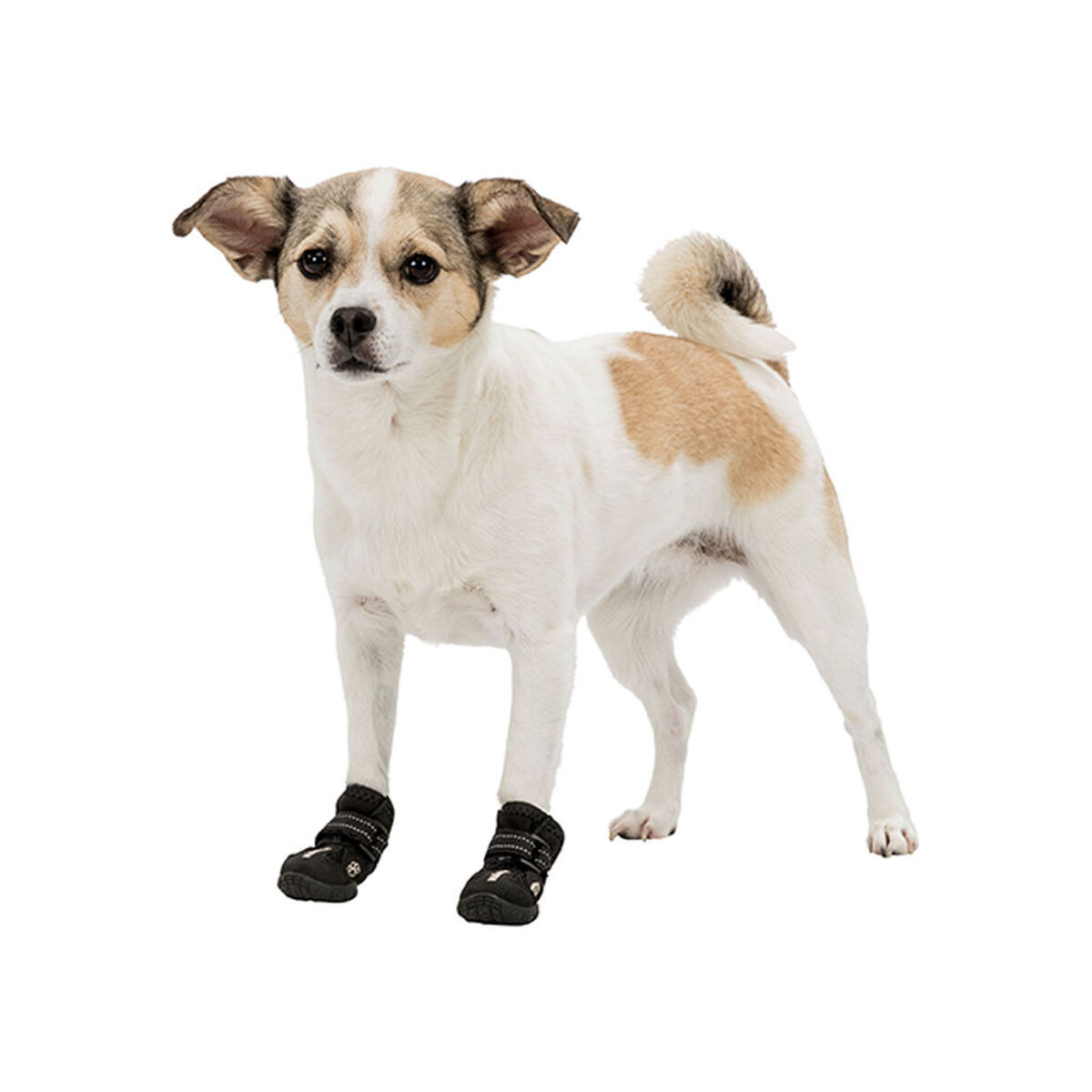 Παλτό Σκύλου Trixie 19461 Μαύρο