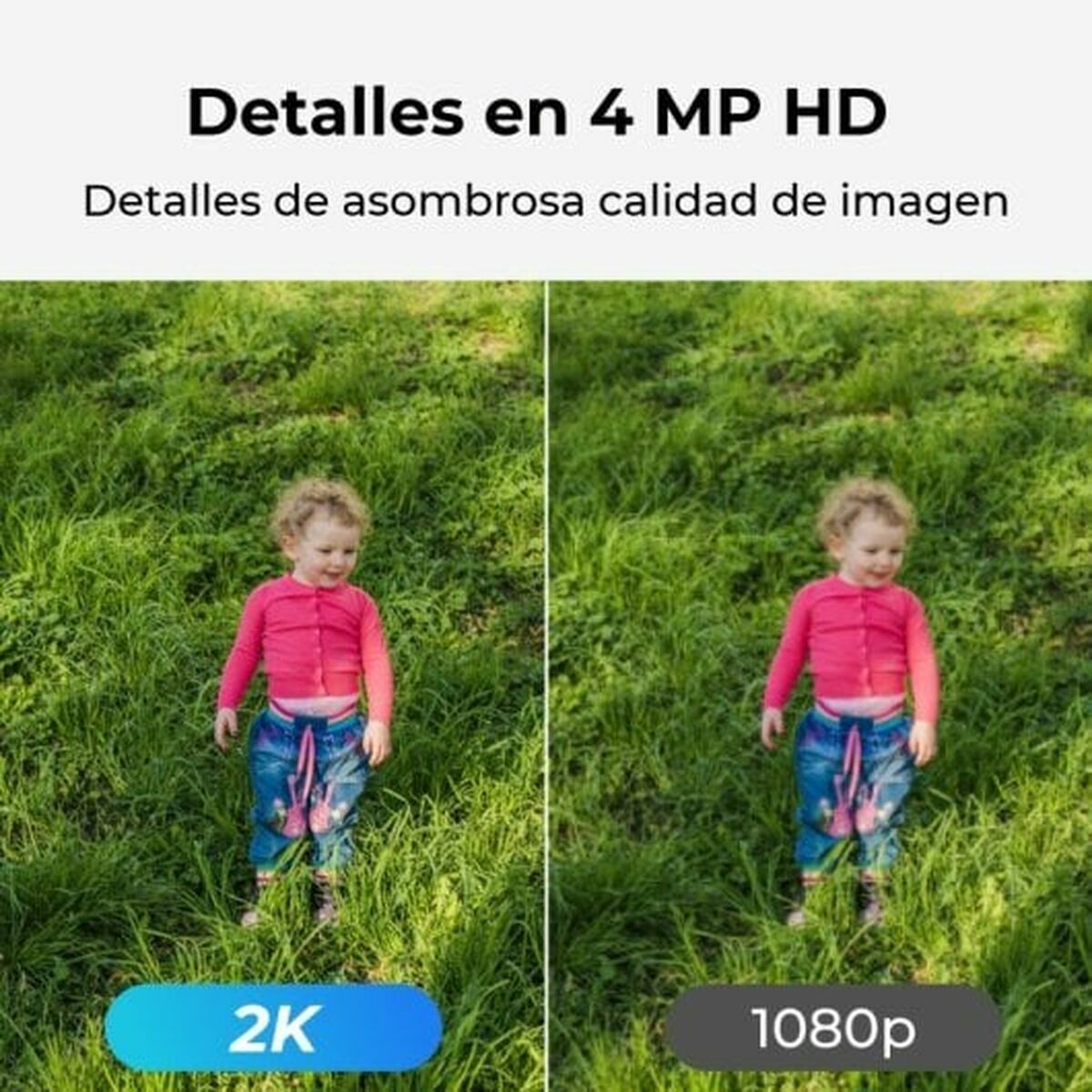 Κάμερα Επιτήρησης Reolink