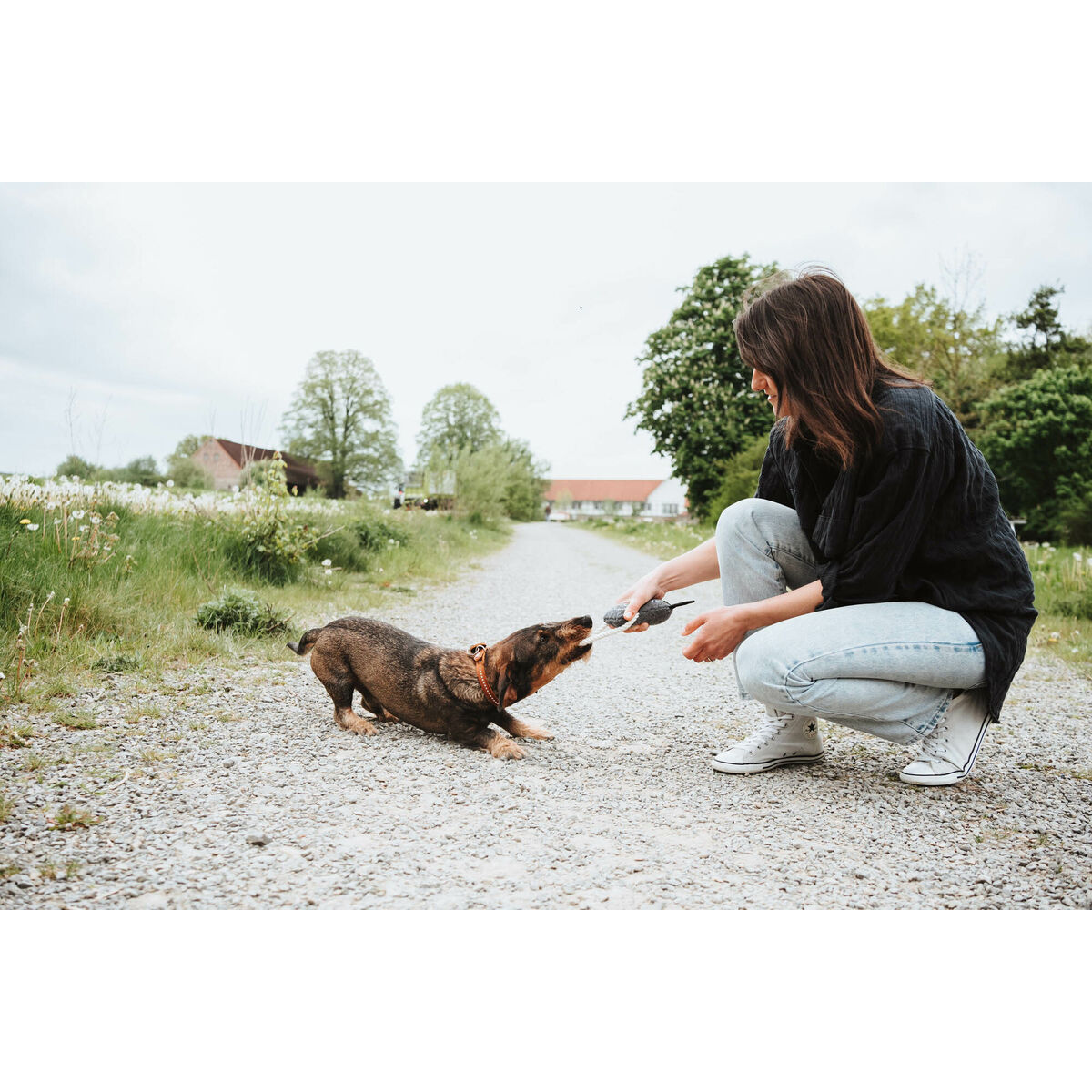 Παιχνίδια για Σκύλους Hunter NEBRASKA Γκρι πολυεστέρας Άλογο