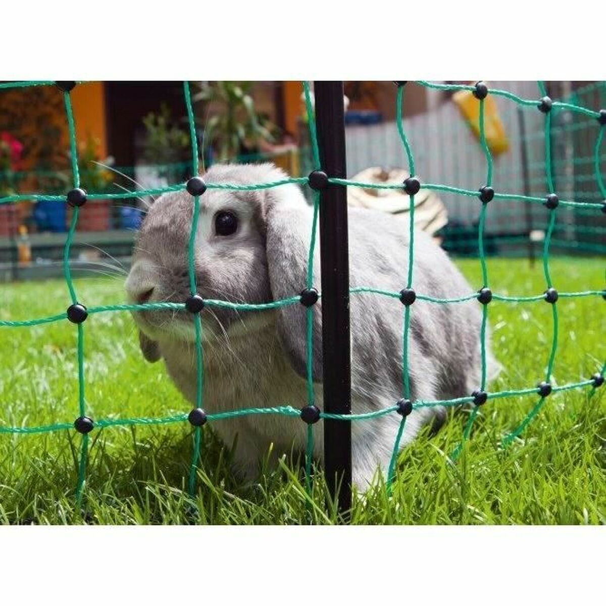 Δίχτυ Aσφαλείας για Kατοικίδια Kerbl Πράσινο