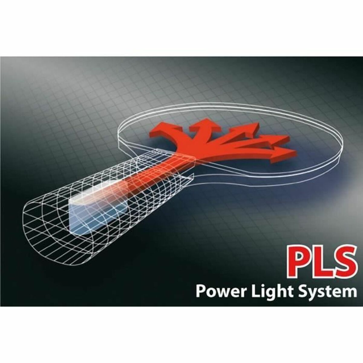 Ρακέτα Πινγκ Πονγκ Schildkröt