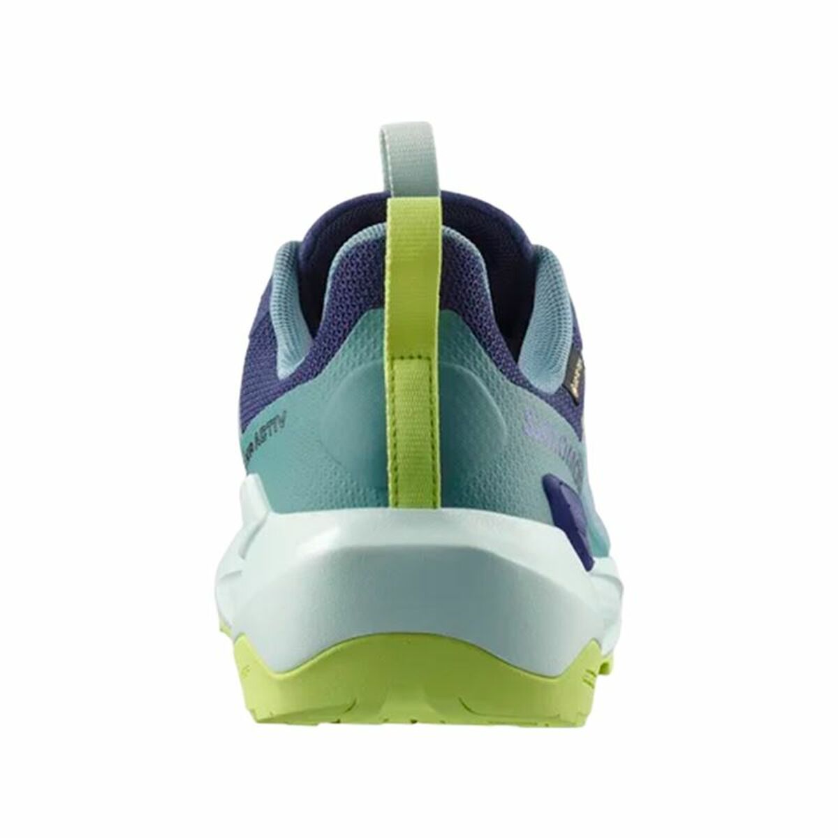 Ανδρικά Παπούτσια για Περπάτημα Salomon Elixir Activ Gtx Μπλε