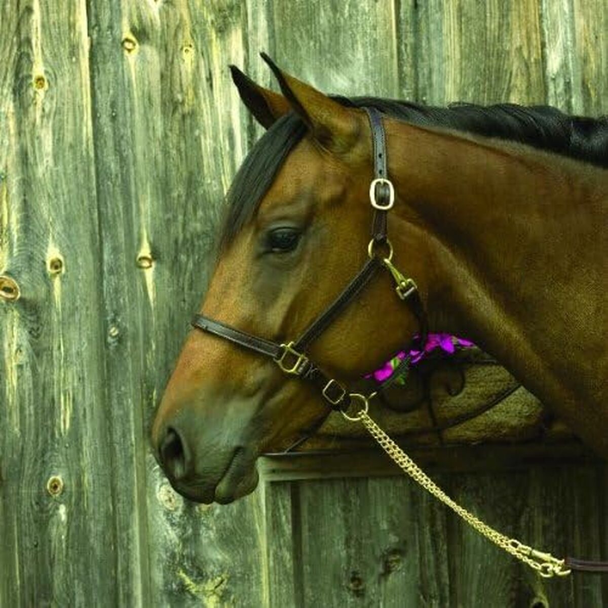 Γυναικεία Δαχτυλίδια Majorica 17218.01.1.913.010.1