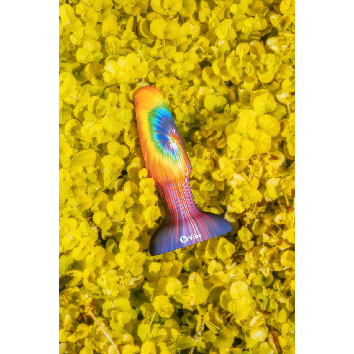 Πρωκτικό Plug B-Vibe Πολύχρωμο (12 cm)