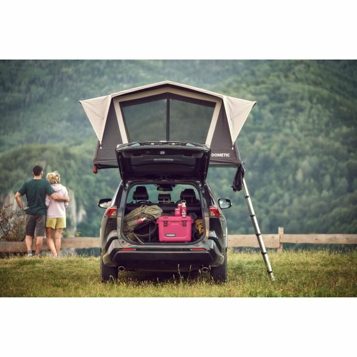 Φορητό Ψυγείο Θερμός Dometic Patrol Ροζ 19 L 53 x 37,4 x 39,5 cm