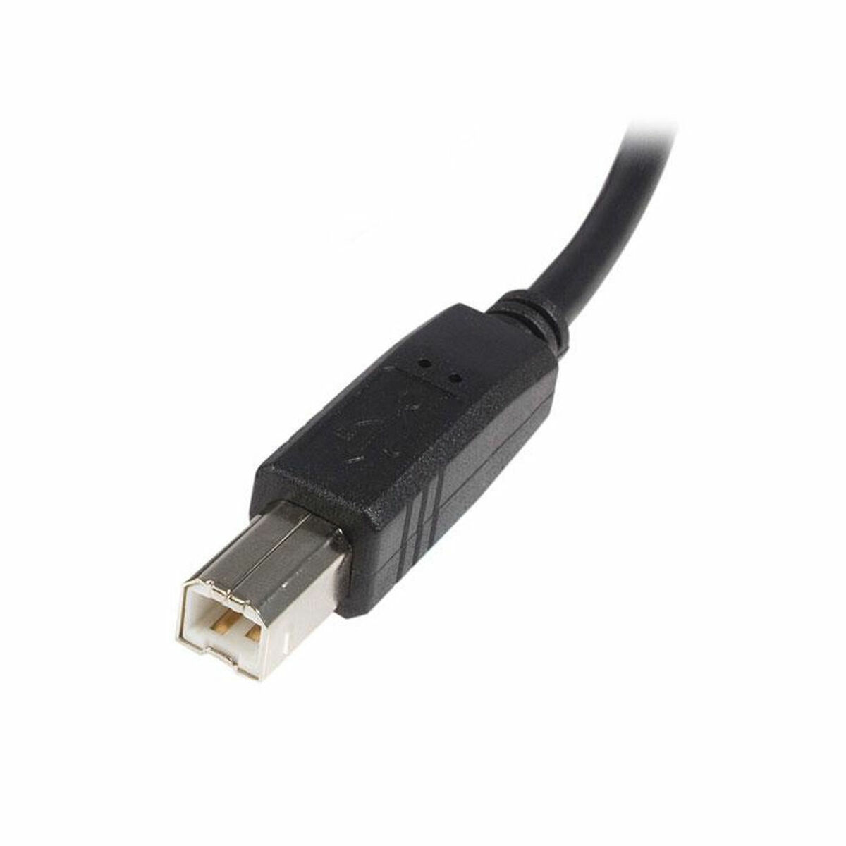 Καλώδιο USB A σε USB B Startech USB2HAB2M            Μαύρο
