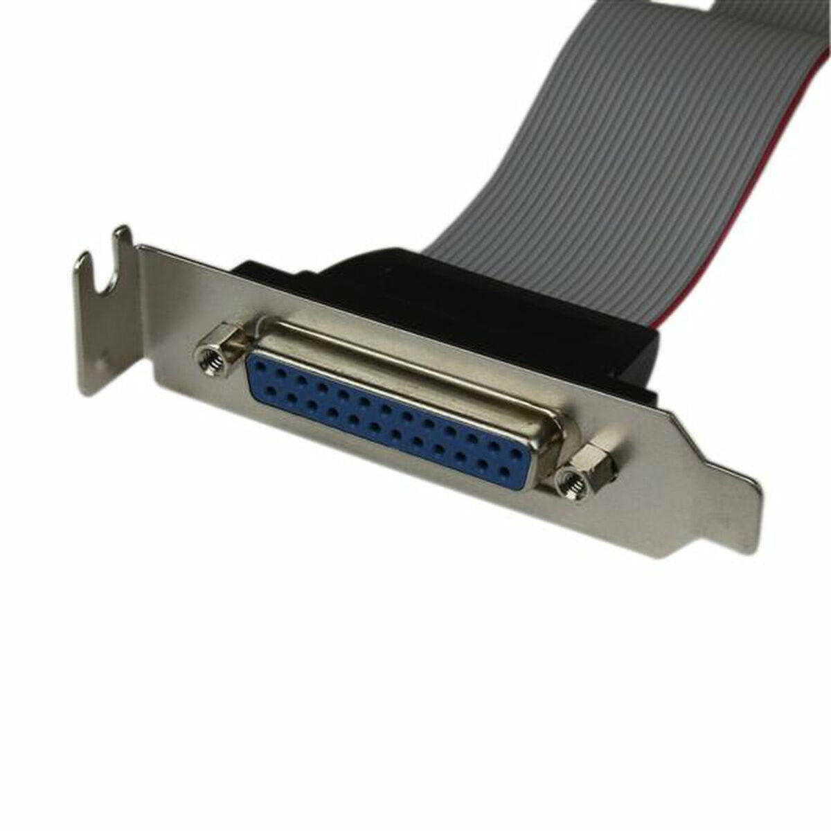 Αντάπτορας Startech PLATE25F16LP Αντάπτορας Startech PLATE25F16LP