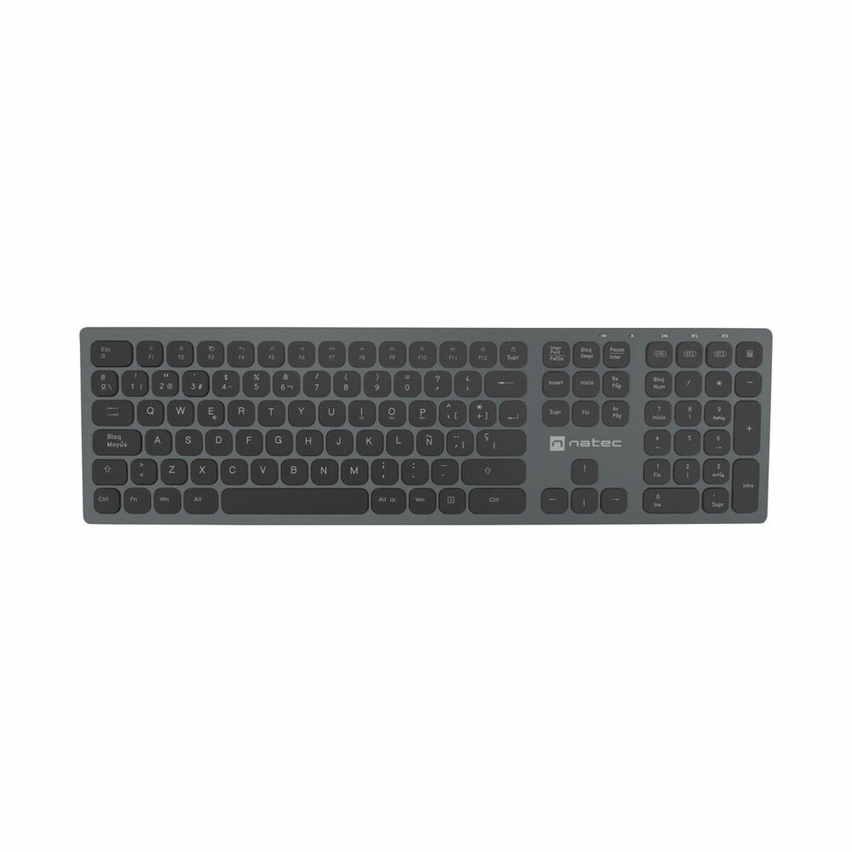 Bluetooth Πληκτρολόγιο Natec NKL-1830 Ισπανικό Qwerty Πολύχρωμο Μαύρο/Γκρι Ισπανικά QWERTY Bluetooth Πληκτρολόγιο Natec NKL-1830 Ισπανικό Qwerty Πολύχρωμο Μαύρο/Γκρι Ισπανικά QWERTY