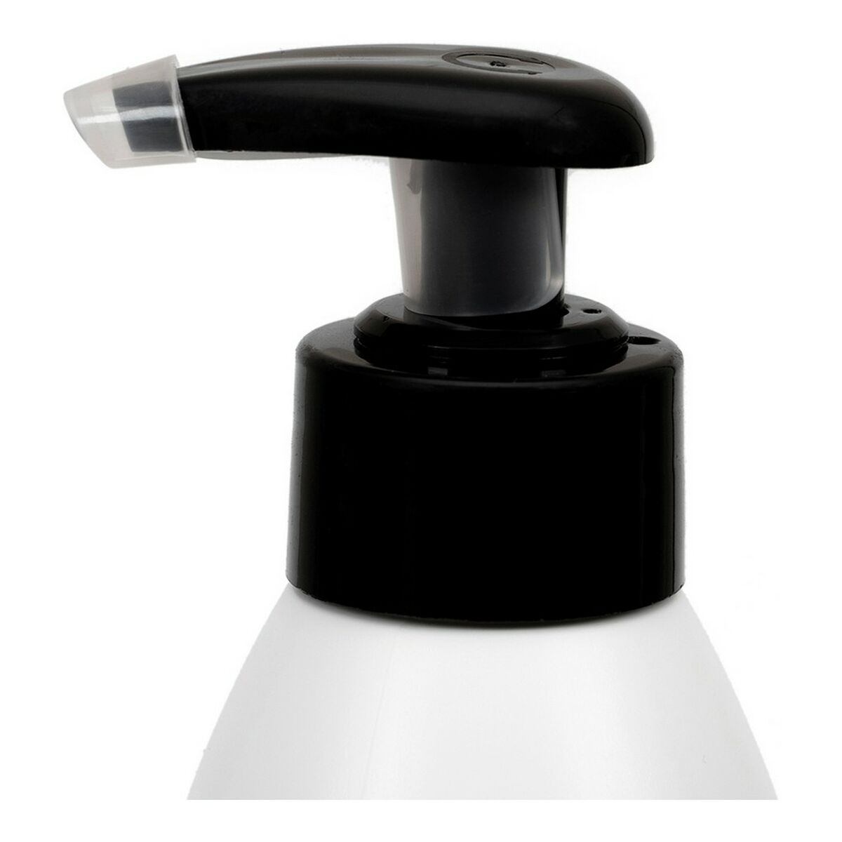 Λάδι Gloria Salmon