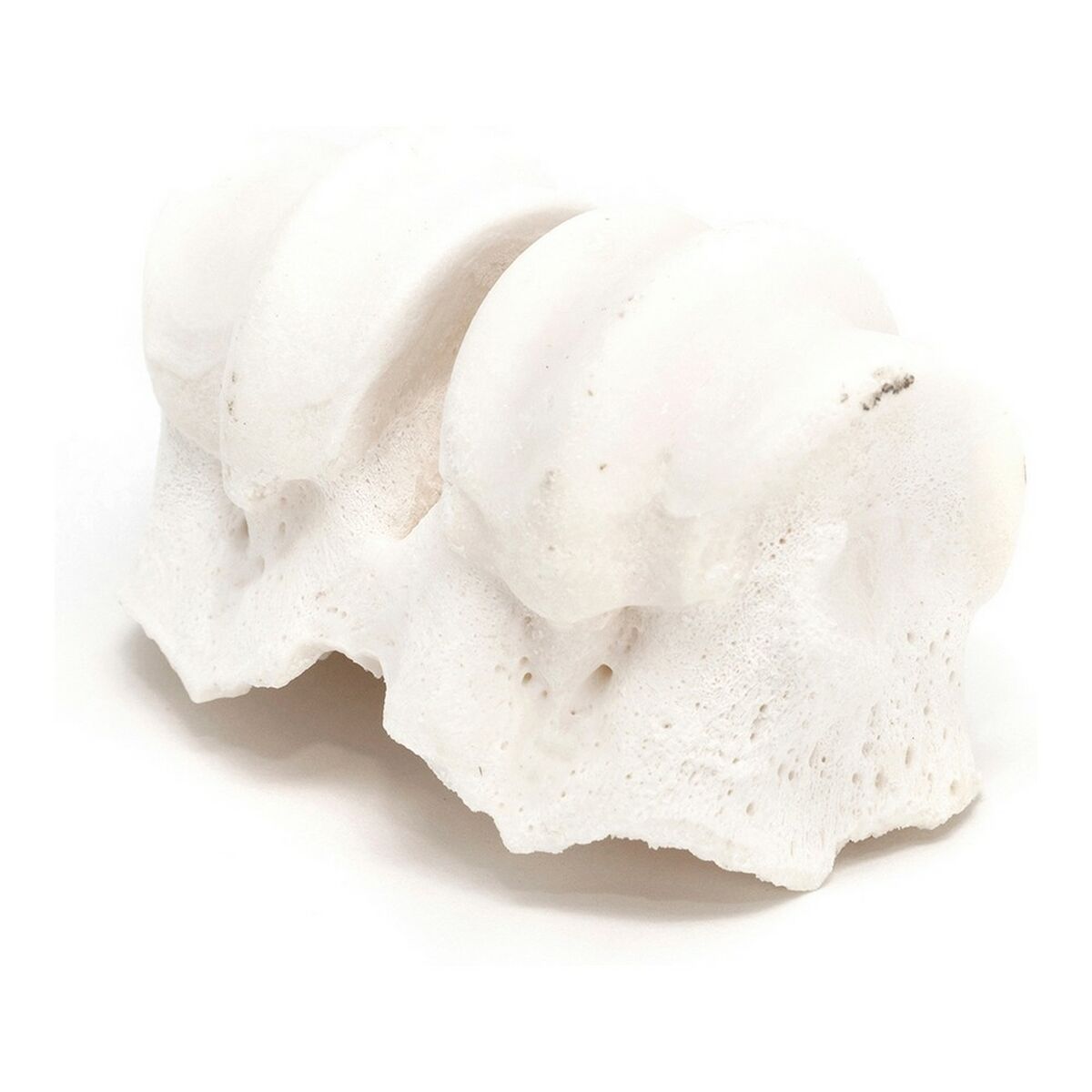 Σνακ για τον Σκύλο Gloria Βόειο κρέας Ασβέστιο Knuckles