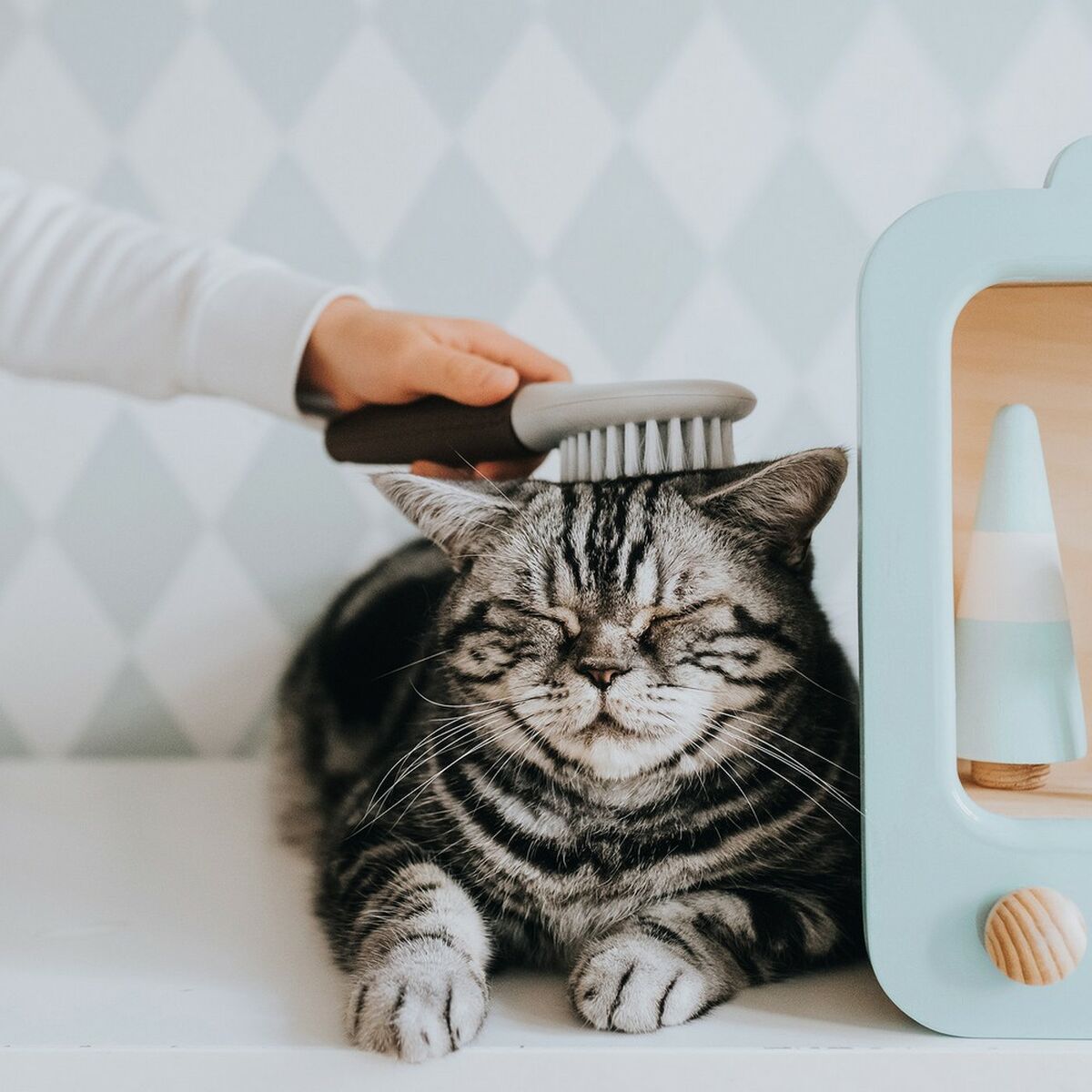 Βουρτσα για Σκυλουσ Hunter Extra Soft