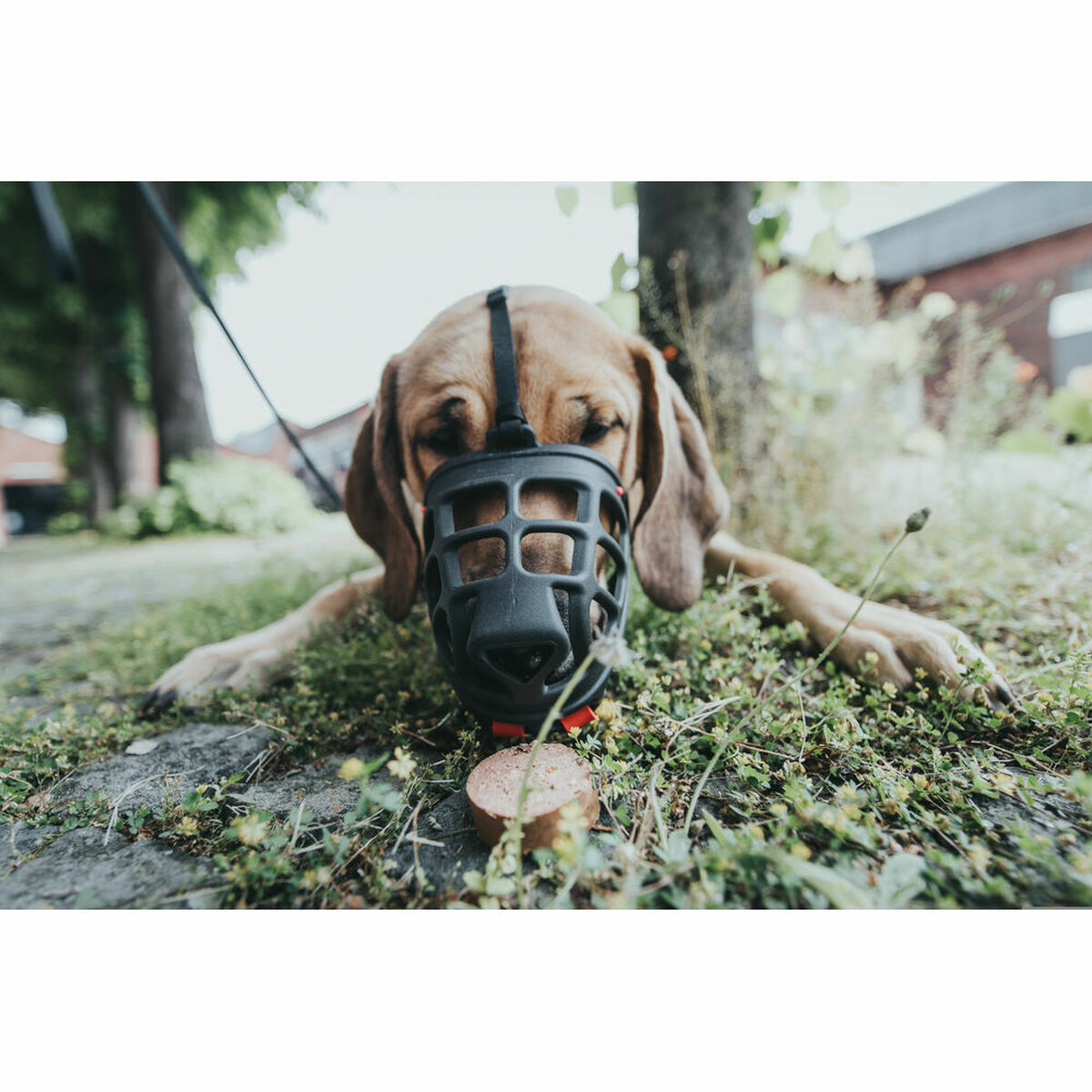 Ρύγχος Gloria Albury Μαύρο 5