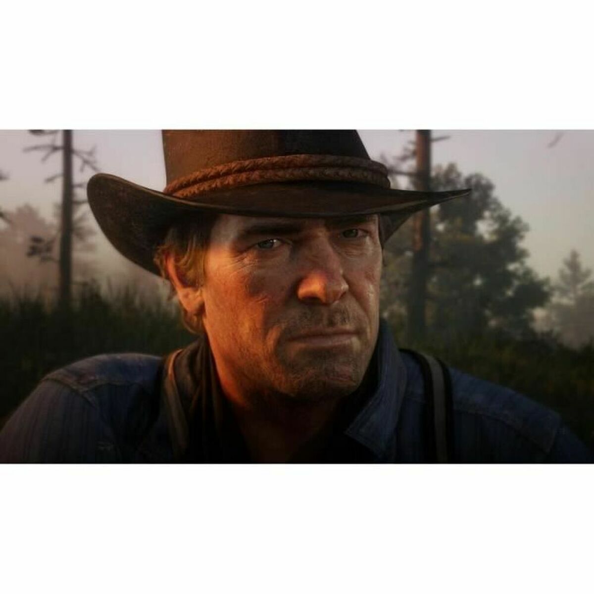 Βιντεοπαιχνίδι PlayStation 4 Sony Red Dead Redemption 2