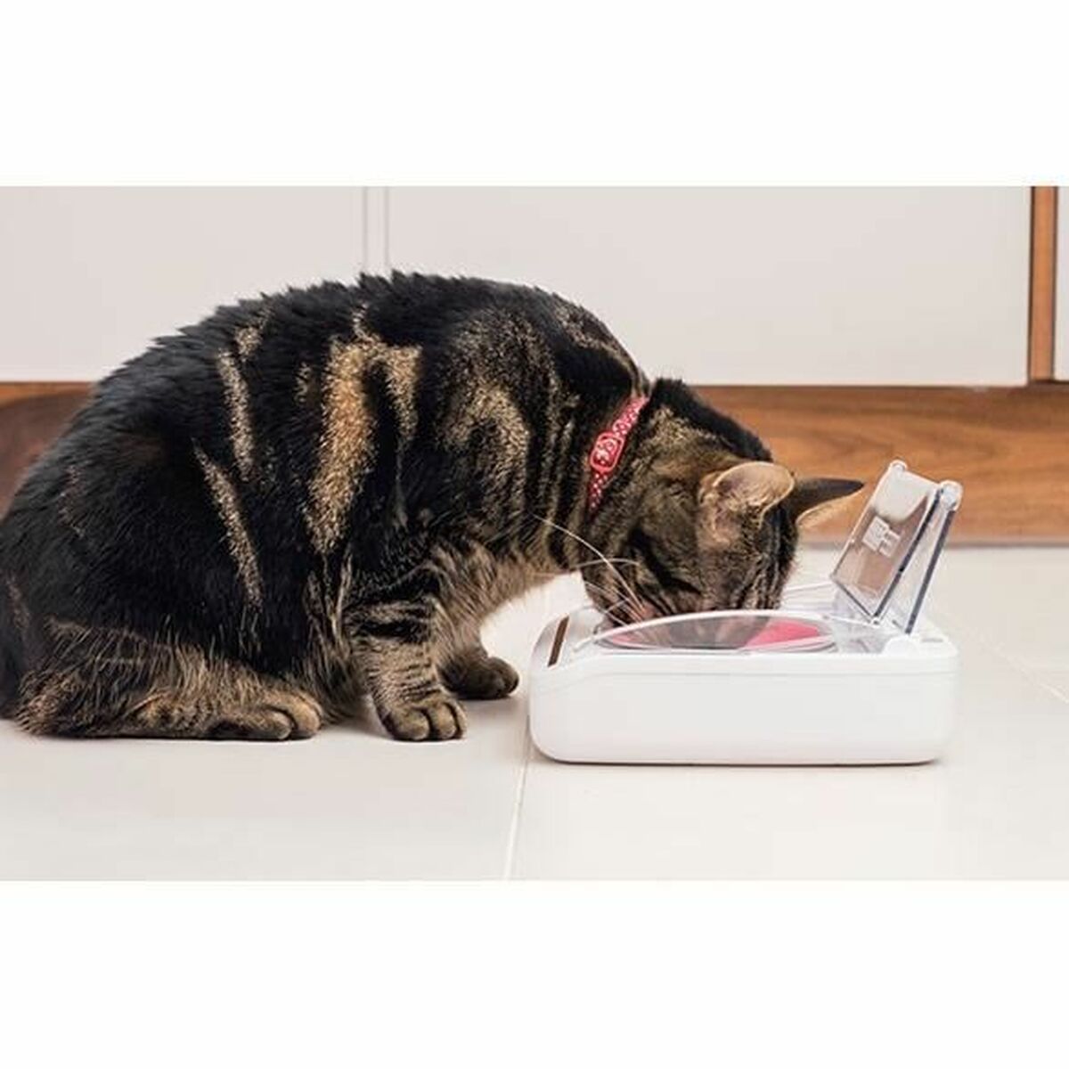 Αυτόματος τροφοδότης SureFlap SureFeed 400 ml Μπαταρίες x 2