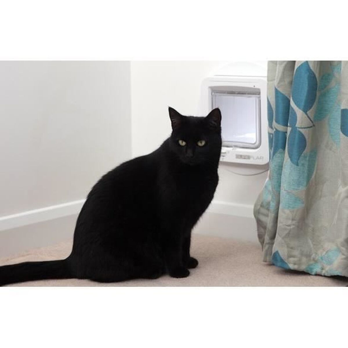 Πόρτα για γάτες SureFlap chip 70955