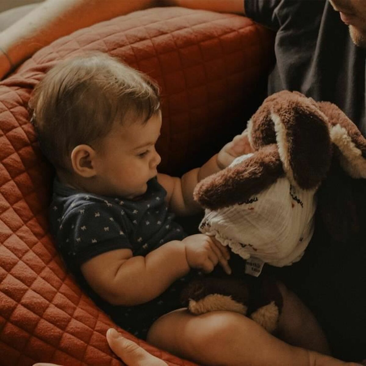 Breastfeeding Cushion Béaba τερακότα (Δωρεάν Μεταφορικά) Breastfeeding Cushion Béaba τερακότα (Δωρεάν Μεταφορικά)